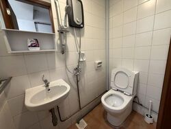 Emerald Garden (D1), Condominium #557172561